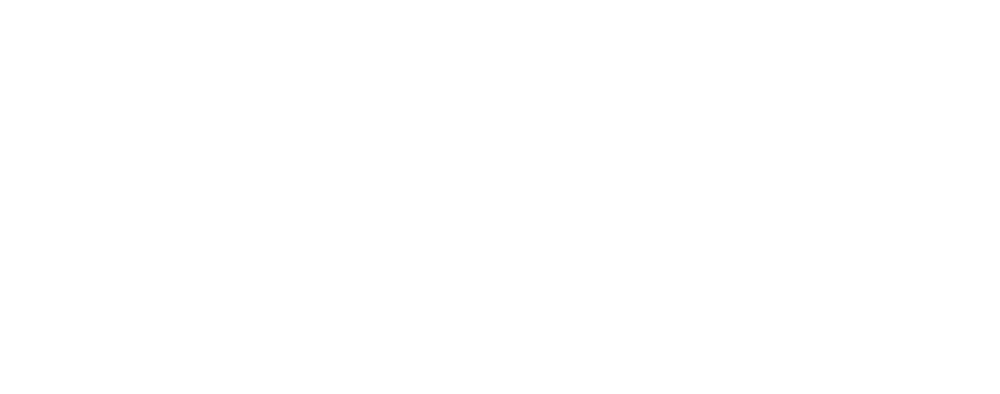 AriooBarzan